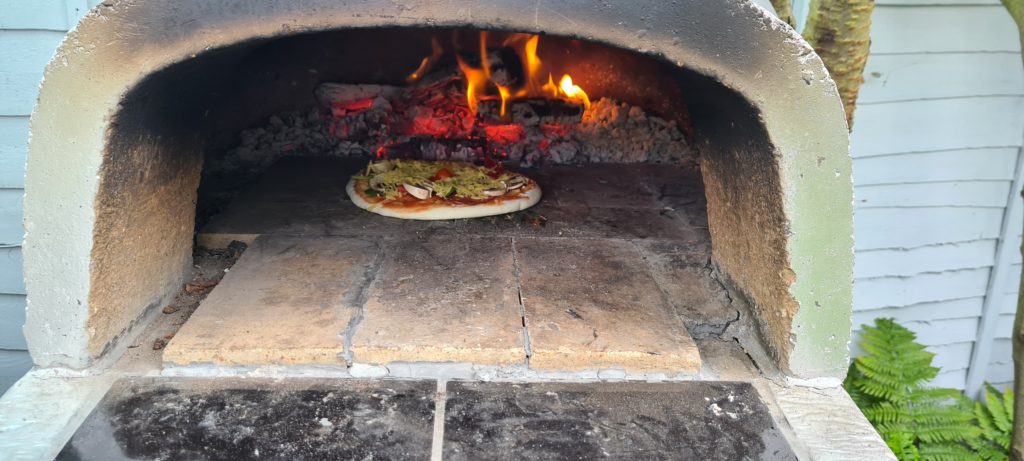 wood fired pizza oven 